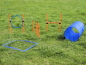 Preview: Agility Dog Trainings Set X für Hunde